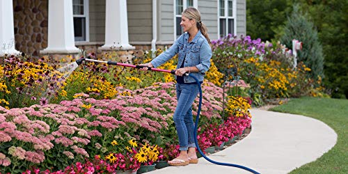 Dramm 13625 Telescoping Rain Water Wand, Blue - color: Blue, size: Telescoping