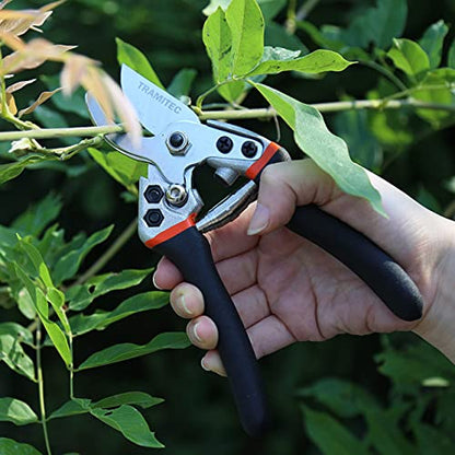 Garden Hedge Shears. Hedge Clippers & Shears SET with Super Pruning Shears. Heavy Duty Garden Clippers for Shaping Bushes Nicely. Hedge Scissors & Shears made with Durable Carbon Steel.