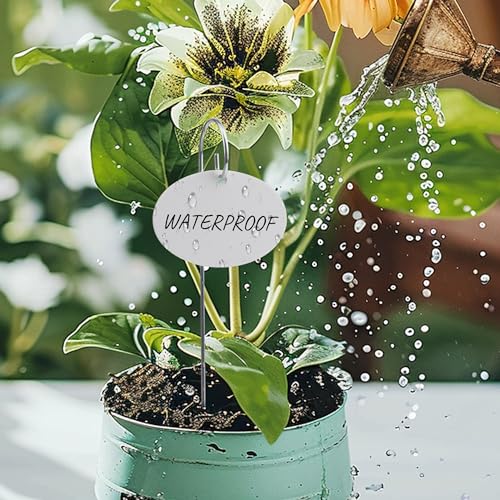Temlum Acrylic Plant Labels for Indoor & Outdoor Plants, White 25pcs - color: White 25pcs