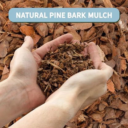 100% Natural Pine Bark Mulch Nuggets (8 Quarts), Small Mulch Chips for Indoor/Outdoor Container Gardening, Ideal for Soil Supplement, Houseplant Mulch - size: 8 Quarts