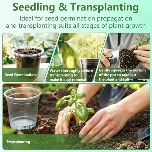 Clear Nursery Pots with Drainage 3.5 Inch: 100 Pack See Roots Stop Root Rot