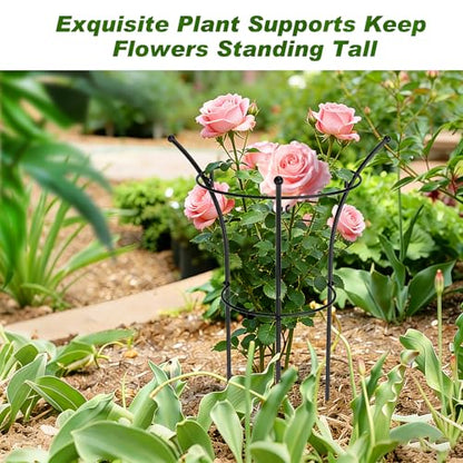 4 Pack Peony Cages and Supports, 12.5"Dx24"H Dual-Ring Metal Plant Supports - color: Black-Metal-4PC
