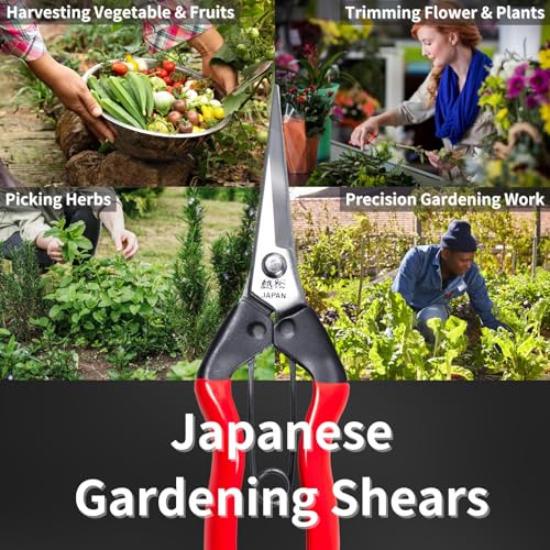 Japanese Garden Shears 7.2" for Plants - Trimming Scissors Precision Pruning Shears with Pointed Tips - Sharp Japanese Stainless Steel Blade & Spring Loaded Handle - Made in Japan - style: Trimming