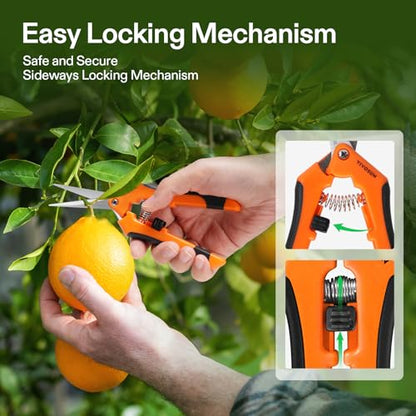 VIVOSUN 2-Pack 30X 60X Illuminated Jewelers Loupe Foldable Magnifier and 2-Pack Gardening Hand Pruner