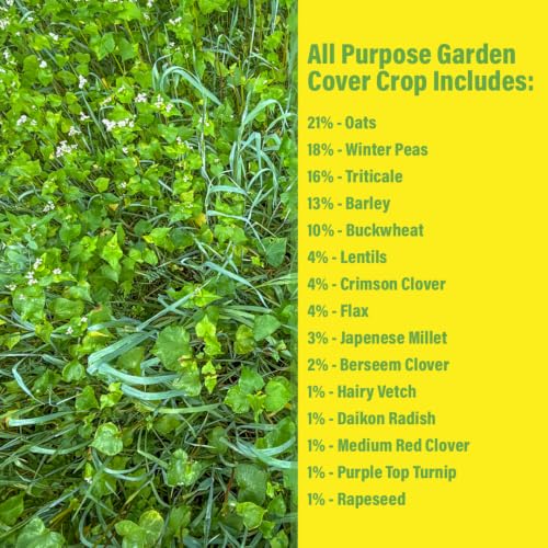 All Purpose Garden Cover Crop Seed Mix for Planting - 15 Seed Blend for Raised Beds & Gardens - Improves Soil & Organic Matter - Easy to Grow (1 lb = 600 to 750 Sq Ft) - size: 1 lb = 600 to 750 Sq Ft