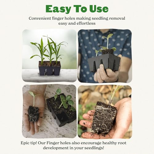 Epic Gardening 6-Cell Seed Starter Tray - 6 Trays - Black - color: Black
