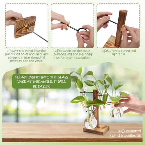 Plants Propagation Stations Bulb Glass Propagation Birthday Gift for Women - color: Transparent
