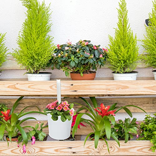 KINGLAKE Flower Pots,10 Pcs Metal Iron Hanging Flower Plant Pots Balcony Garden Plant Planter Baskets Fence Bucket Pot 4'' Flower Holders with Detachable Hook White - color: White, size: 4 Inch