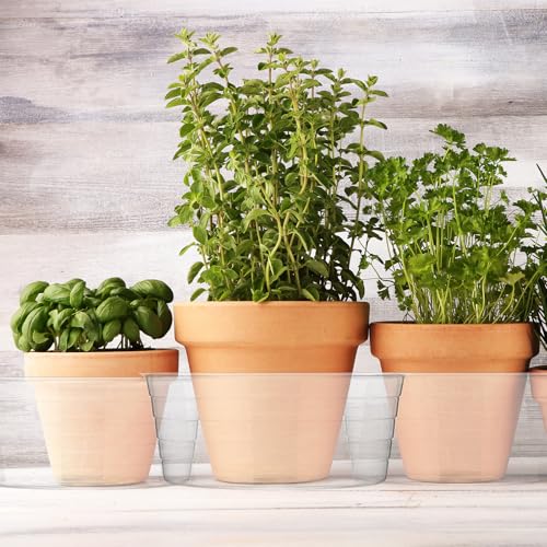 Hoolerry 15 Pcs Plastic Plant Saucer Clear Deep Tray, 12 Inch - size: 12 Inch