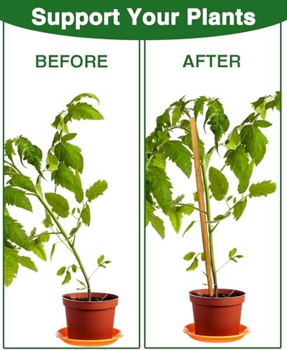 12 Pack 17.5 Inch Plant Stakes for Indoor Plants,Bamboo Sticks for Plants Bamboo Poles Plant Support Stakes Garden Supplies Tomato Trellis for Outdoor Plants