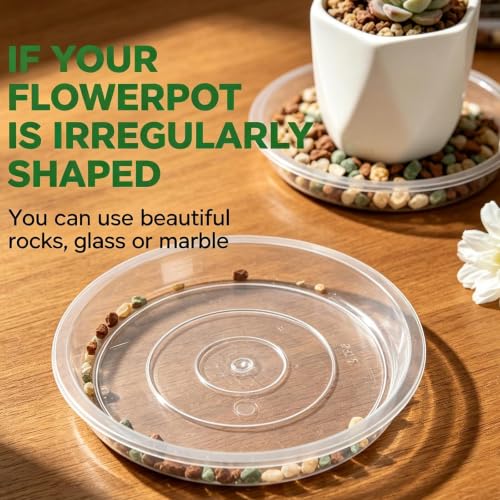 Delphinus 20 Pack Clear Plant Drip Trays, 6 Inch Round
