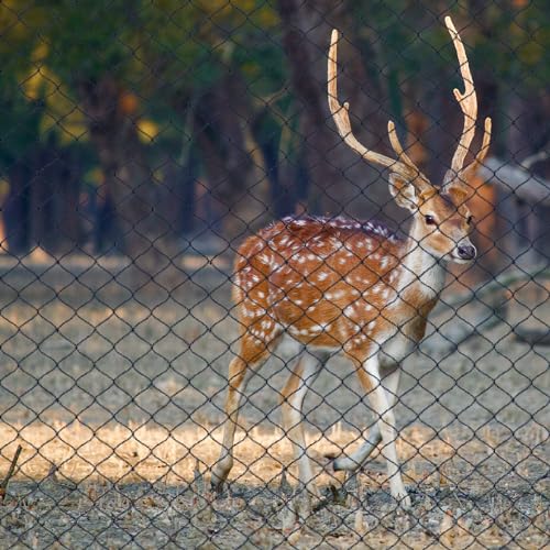 Deer Fence Netting 7.5x65 FT, Heavy Duty Bird Netting for Garden - size: 7.5x65FT-1/2inch