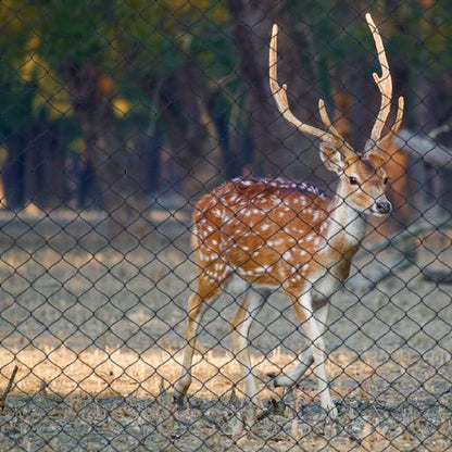 Deer Fence Netting 7.5x65 FT, Heavy Duty Bird Netting for Garden - size: 7.5x65FT-1/2inch