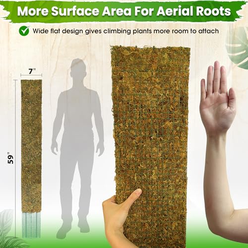 DUSPRO 59" Flat Mesh Moss Pole for Big Climbing Plants, (1pc., 59'') - size: 59" FLAT MOSS POLE