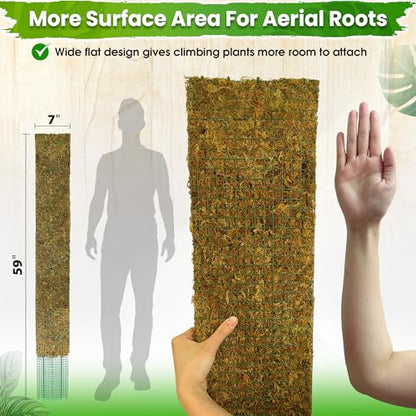 DUSPRO 59" Flat Mesh Moss Pole for Big Climbing Plants, (1pc., 59'') - size: 59" FLAT MOSS POLE