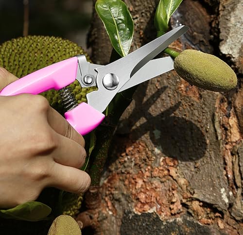 2pcs Garden Flower Shears Pruning Shears 6.9 inches Scissors Lightweight Plant Scissors for Cutting Flowers, Trimming Plants, Bonsai, Fruits Picking - style: Pink handle Straight and Bypass