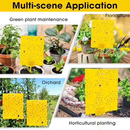 Qualirey 220 Pcs 7.87 x 9.84 Inch Yellow Sticky Traps for Plant Gnats Dual Sided Fruit Fly Sticky Traps for Indoor Outdoor with Twist Ties & Plastic Holders for Insect, Fungus Gnat, Whiteflies, Aphids - size: 7.87 x 9.84 Inches