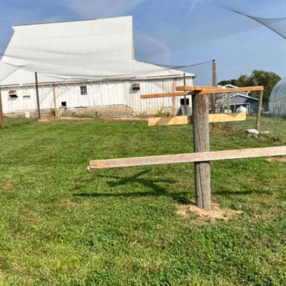Junflying 50x100 FT Chicken Netting for Hawks & Predator Protection - size: 50x100 FT