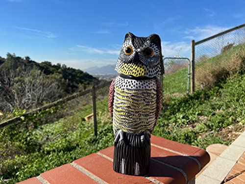 GiftExpress 16" Large Owl Decoy with Rotating Head – Realistic Garden Statue Bird & Squirrel Deterrent, Life-Size Predator Scarecrow for Outdoor Yard & Garden Protection