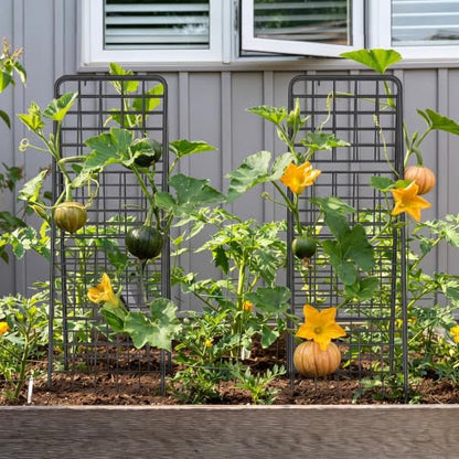 A-Frame Trellis for Climbing Plants Outdoor, 2 Pack Metal Garden Trellis