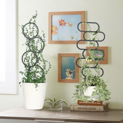 4 Pcs Plant Trellis Indoor Black Small Trellis for Potted Plants - style: Style 1