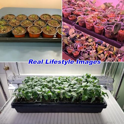 50-Pack Heavy-Duty 1020 Seed Trays No Holes, Thick Plastic Plant Flats - color: Black, size: 50-Pack No-Hole 1020 Trays