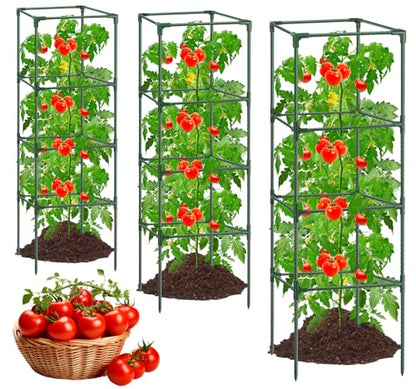6Pack Tomato Cages for Garden,Square Tomato Plant Cage Support Heavy Duty Pole 57*15.4*15.4 Inches,Steel Plant Tower Stakes,Cherry Tomato Trellis Cucumber for Climbing Vegetables Flowers Fruits-Green - color: Tomato Cages-Green