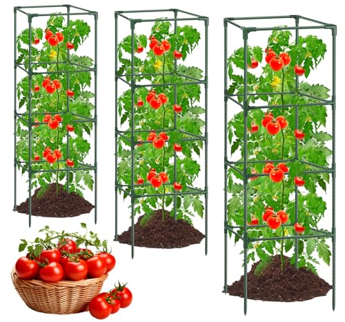 6Pack Tomato Cages for Garden,Square Tomato Plant Cage Support Heavy Duty Pole 57*15.4*15.4 Inches,Steel Plant Tower Stakes,Cherry Tomato Trellis Cucumber for Climbing Vegetables Flowers Fruits-Green - color: Tomato Cages-Green