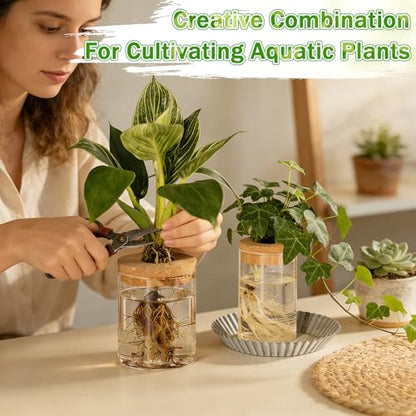 12 Pack Plant Propagation Station with Hole Lid Plant Propagation Jars Plants Plastic Propagations Stations Planter Vase Hydroponic Vases for Home Desktop Office Decoration, 3 Sizes