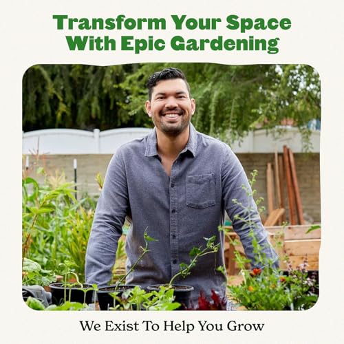 Epic Gardening 6-Cell Seed Starter Tray - 6 Trays - Terracotta - color: Terracotta