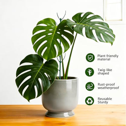 15 Pack Adjustable Stackable Monstera Plant Support Poles Garden Stakes