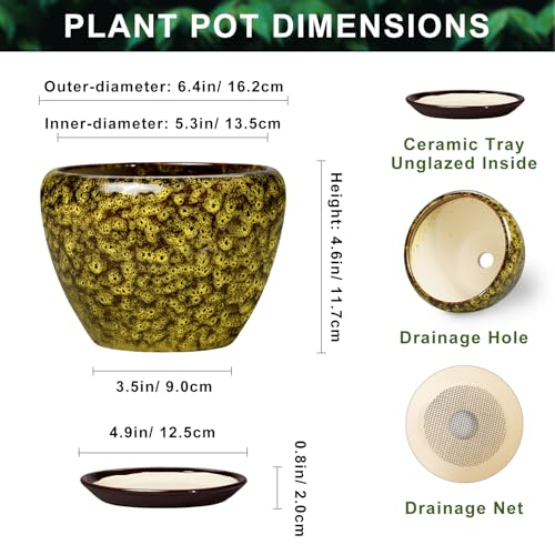 6 Inch Ceramic Plant Pot, Yellow Leopard - color: Yellow Leopard, size: 6 Inch