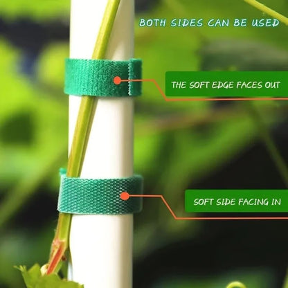 2 Rolls Reusable Nylon Plant Ties Loop Hook Garden Support Tape, (Green) - color: Green