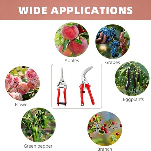2 Pcs Garden Pruning Shears, Multifunctional Garden Scissors Set, 8" Stainless Steel Straight&Angled Pruning Floral Shears, Garden Shears for Cutting Flowers, Trimming Plants, Picking Fruits