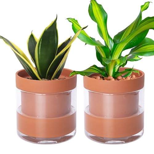 Phoenix Vine 6 Inch Self Watering Planter Pot, Terracotta Clay Pot with Glass Reservoir for Indoor Plants, Herbs, Flowers, Set of 2, 52-A-F-2 - color: Terracotta, size: 6" (2 Pack)