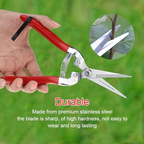 Stainless Steel Straight Pruning Shears for Rose Gardening Plant Trimming and Fruit Harvesting Durable Ergonomic Hand Pruners Garden Yard Tool