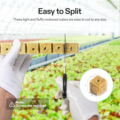 VIVOSUN 1" Rockwool Cubes, 200 Plugs Stonewool Starter Grow Cubes - size: 1"-200 Plugs