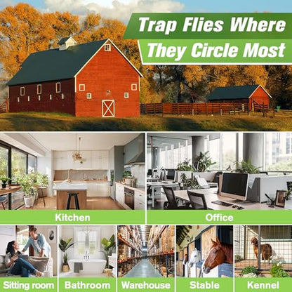 30 Pack XL Window Fly Traps for Indoors, Sticky Fly Traps (Clear, 15"×3") - size: 15"×3", style: Clear