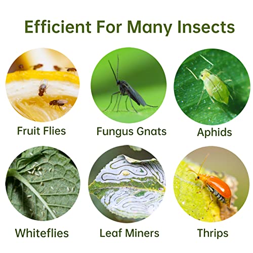 Fruit Fly Trap 48 Pack Yellow Sticky Gnat Killer Traps for Indoor Plants - size: 48 Packs