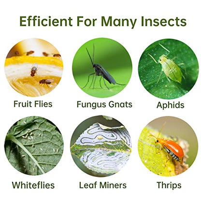Fruit Fly Trap 48 Pack Yellow Sticky Gnat Killer Traps for Indoor Plants - size: 48 Packs