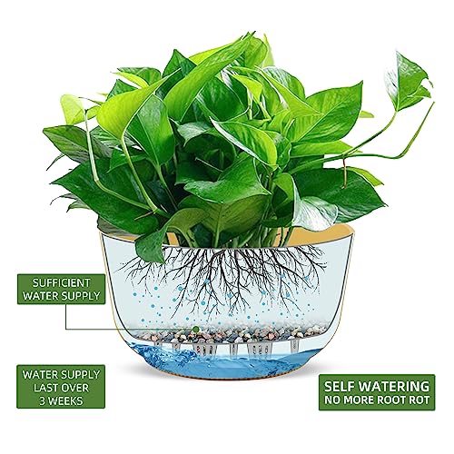 Dexceder 11.2 Inch Self Watering Hanging Planter (2 Pack, Yellow) - color: Yellow, size: 11.2 inch