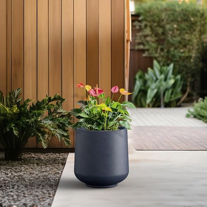 Kante 17.3" Tall Round Curved Concrete Planter, Charcoal Floor Pot - color: Charcoal, size: 15.3" D