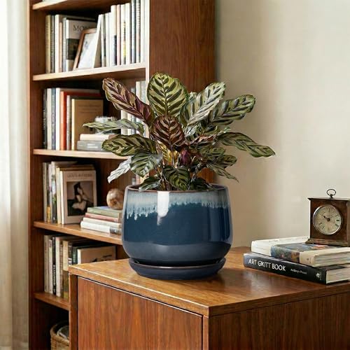 7 Inch Plant Pot Indoor, Ceramic Plant Pots, Retro Blue - size: 7 Inch, style: Retro