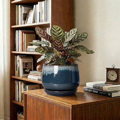 7 Inch Plant Pot Indoor, Ceramic Plant Pots, Retro Blue - size: 7 Inch, style: Retro