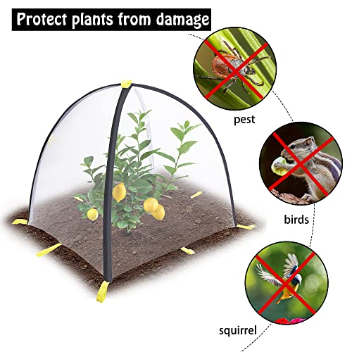PURPLE STAR 1N 22 x 22 x 23 Inch Insect Barrier Plant Tent Cover-Bug Guard Cover with Stakes-Insect Bird Barrier Netting Mesh for Protect Vegetable Plants Fruits Flowers from Birds Animal Eating(S) - color: S