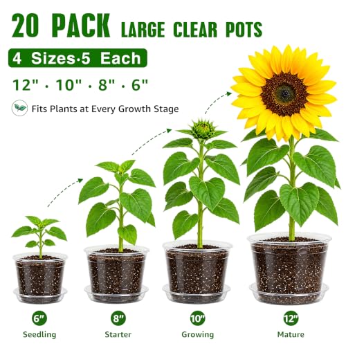 Bluepro Clear Nursery Pots with Saucers, 6/8/10/12 Inch, 20-Pack - size: 6/8/10/12 Inch-20Pcs
