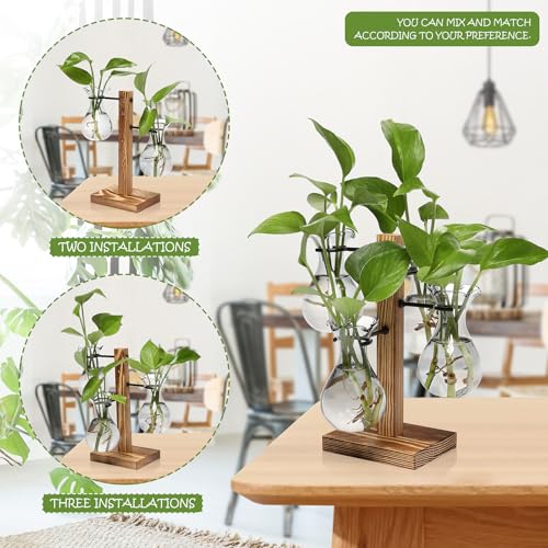 Plants Propagation Stations Bulb Glass Propagation Birthday Gift for Women - color: Gray