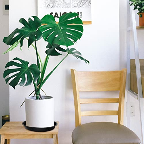 OUPSAUI 5 Pack 4 10 12 14 16 18 20 22 Inch Plant Saucer, Plant Trays for Pots, Large Plastic Plant Saucers for Indoors, No Holes Planter Drip Tray (20 inch) - size: 20 Inches