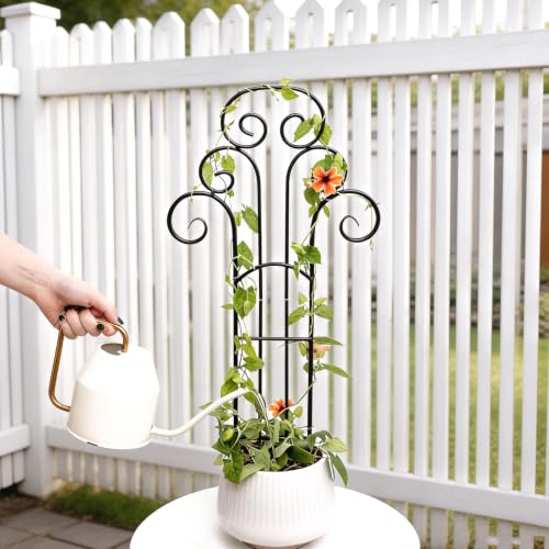 24" Pot Trellis for Climbing Plants,Indoor Plant Trellis,Retro Wrought Iron - size: 24"H