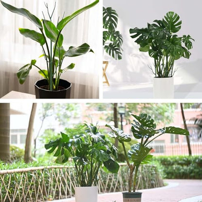 Yhtpouqe 9 Pack Green Plant Support Stakes Plant Stakes for Indoor and Outdoor Plants. 39.37inch Plant Sticks with Extension Poles, Plant Clips,Plant Ties for Potted Monstera Plants, Climbing Plants - size: 39.37"- 9 Pack